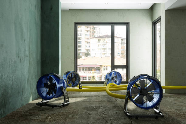 Best Water damage restoration near me  in Vinton, TX
